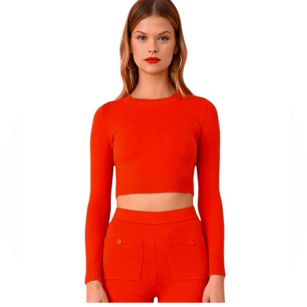 JoosTricot ENGINE ECOMERINO LONG SLEEVE CROP CREW L $325 Y2K Retro: Preppy Chic